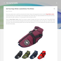 Get Your Dog's Winter JacketOnline This Winter