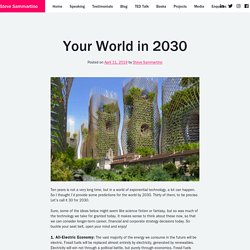 Your World in 2030 - Steve Sammartino