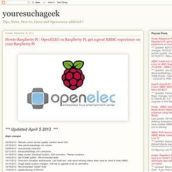 Howto Raspberry Pi : OpenELEC on Raspberry Pi, get a great XBMC experience on your Raspberry Pi