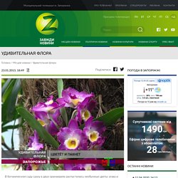 Удивительная флора - Телеканал Z