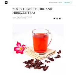 ZESTY HIBISCUS(ORGANIC HIBISCUS TEA) - Organic Zero waste - Medium