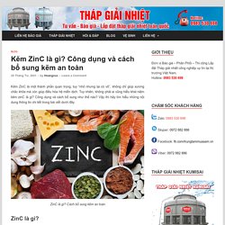 Kẽm ZinC là gì? Công dụng và cách bổ sung kẽm an toàn