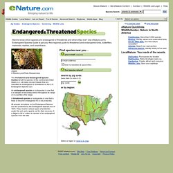 Endangered & Threatened Species