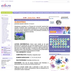 Zodiac floral - albastrea