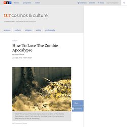 How To Love The Zombie Apocalypse : 13.7: Cosmos And Culture