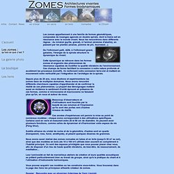 Zomes Concept - Zome Design