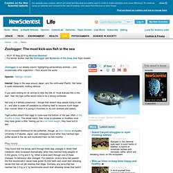 Zoologger: The most kick-ass fish in the sea - life - 05 May 2010 - New ...