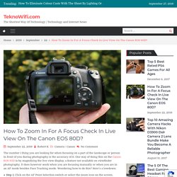 How To Zoom In For A Focus Check In Live View On The Canon EOS 80D?