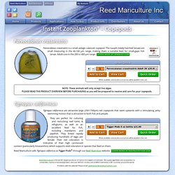 Instant Zooplankton® Products