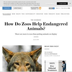 How Do Zoos Help Endangered Animals?
