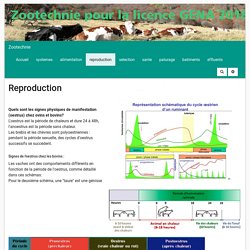 Zootechnie : reproduction