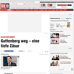 Zwischenruf: Guttenberg weg – eine tiefe Zäsur - Politik