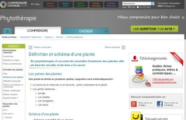 tableau traitement chimiothérapie