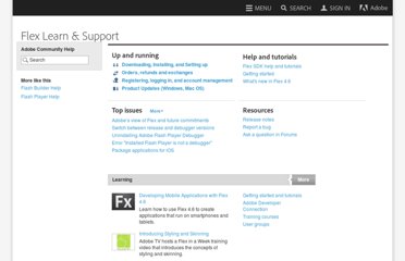 Flex crossdomain.xml sample