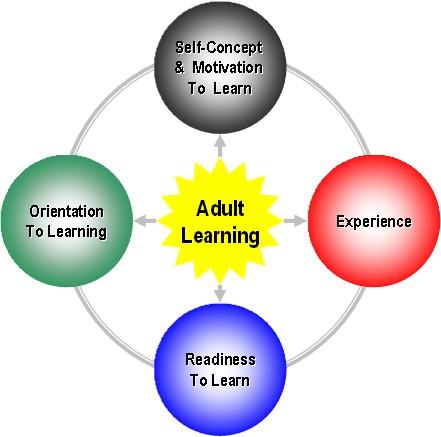 Visual representation of Knowles' andragogy showing the four ...