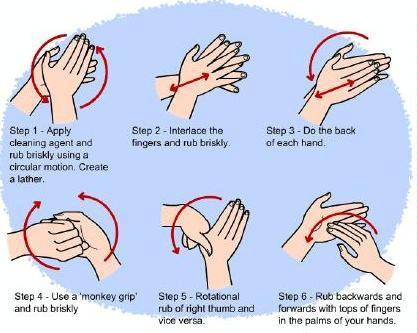 Washing Procedure | Pearltrees