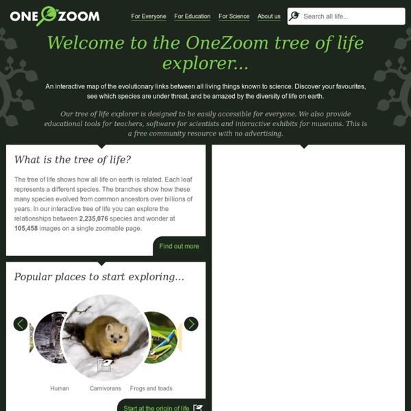 OneZoom Tree of Life Explorer | Pearltrees