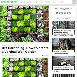 Diy Gardening How To Create A Vertical Wall Garden Greener Ideal 77Ed3affdeb9249e084d2eb67ab98fc6